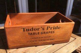 Tudor