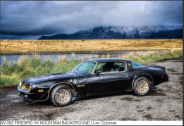firebird